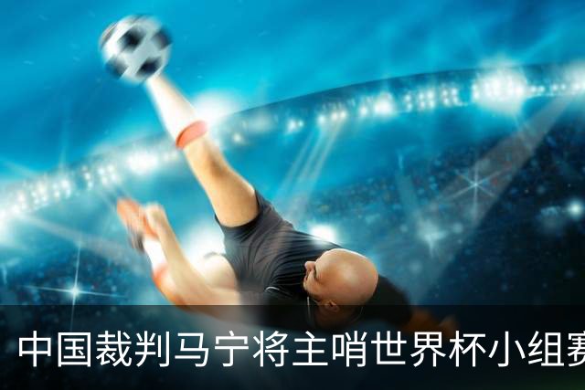 中国裁判马宁将主哨世界杯小组赛第二轮比赛