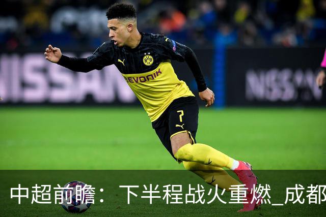 中超前瞻：下半程战火重燃 成都剑指三分申花求反弹
